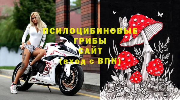 прущая мука Ладушкин