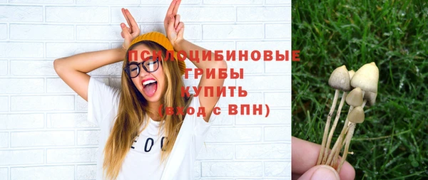 MESCALINE Кукмор