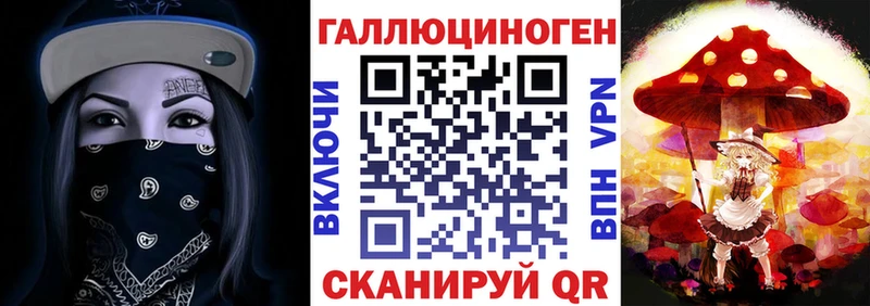 ссылка на мегу как войти  Мураши  Галлюциногенные грибы мицелий 